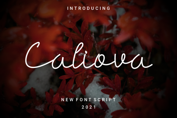 Caliova: A Delicate Script Font for Handmade Creations