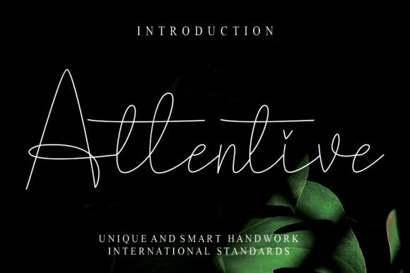 Choosing Attentive for a Polished Web Design
