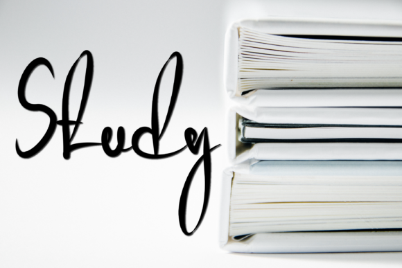 Study Font for Web Design and Branding